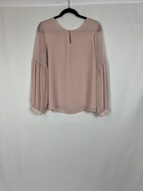 Express Blush Sheer Balloon Sleeve Top
